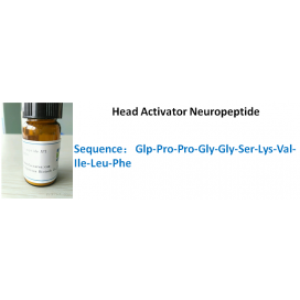 Head Activator Neuropeptide