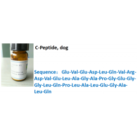 C-Peptide, dog