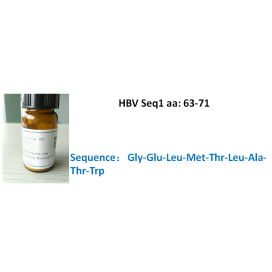 HBV Seq1 aa: 63-71