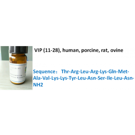 VIP (11-28), human, porcine, rat, ovine