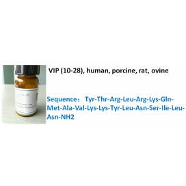 VIP (10-28), human, porcine, rat, ovine