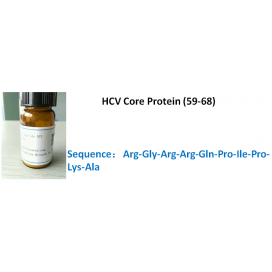 HCV Core Protein (59-68)
