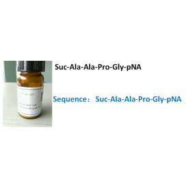 Suc-Ala-Ala-Pro-Gly-pNA