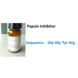Papain Inhibitor