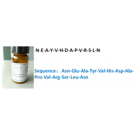 N-E-A-Y-V-H-D-A-P-V-R-S-L-N
