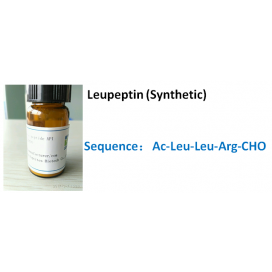 Leupeptin (Synthetic)