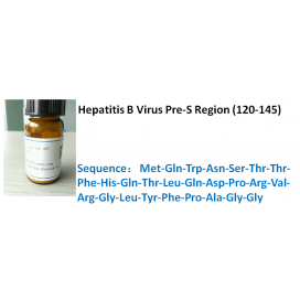 Hepatitis B Virus Pre-S Region (120-145)