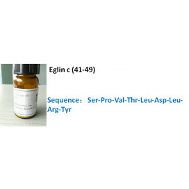 Eglin c (41-49)