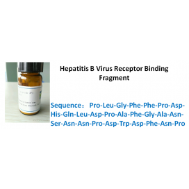 Hepatitis B Virus Receptor Binding Fragment