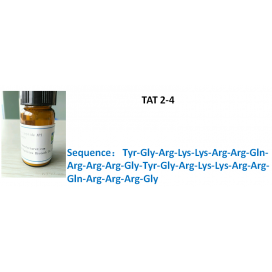 TAT 2-4