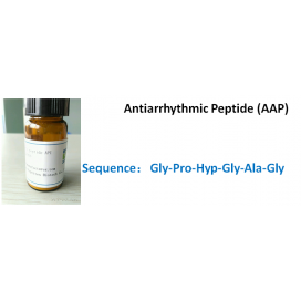 Antiarrhythmic Peptide (AAP)