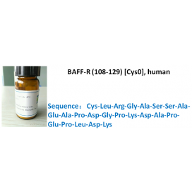 BAFF-R (108-129) [Cys0], human
