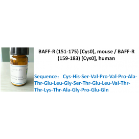 BAFF-R (151-175) [Cys0], mouse / BAFF-R (159-183) [Cys0], human
