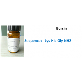 Bursin