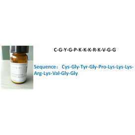 C-G-Y-G-P-K-K-K-R-K-V-G-G