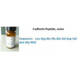 Cadherin Peptide, avian