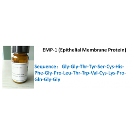 EMP-1 (Epithelial Membrane Protein)