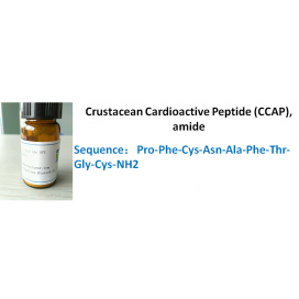Crustacean Cardioactive Peptide (CCAP), amide