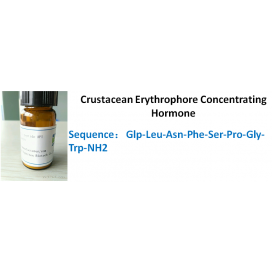 Crustacean Erythrophore Concentrating Hormone