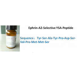 Ephrin-A2-Selective YSA-Peptide