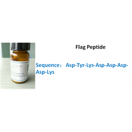 Flag Peptide