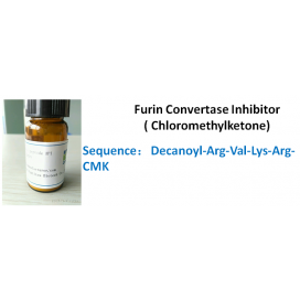 Furin Convertase Inhibitor ( Chloromethylketone)