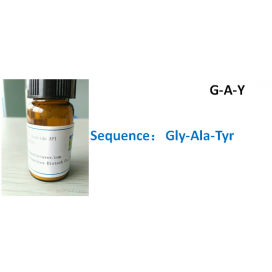 G-A-Y