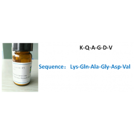 K-Q-A-G-D-V