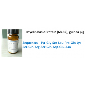 Myelin Basic Protein (68-82), guinea pig