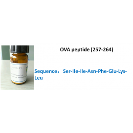 OVA peptide (257-264)