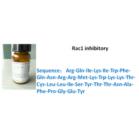 Rac1 inhibitory