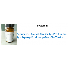 Systemin
