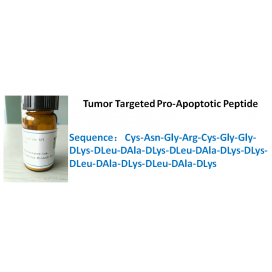 Tumor Targeted Pro-Apoptotic Peptide