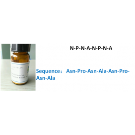 N-P-N-A-N-P-N-A
