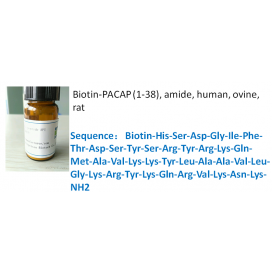 Biotin-PACAP (1-38), amide, human, ovine, rat