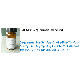 PACAP (1-27), human, ovine, rat