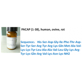 PACAP (1-38), human, ovine, rat