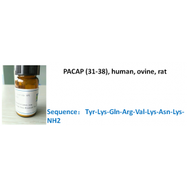 PACAP (31-38), human, ovine, rat