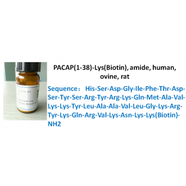 PACAP(1-38)-Lys(Biotin), amide, human, ovine, rat