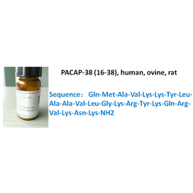 PACAP-38 (16-38), human, ovine, rat