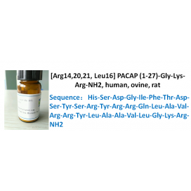 [Arg14,20,21, Leu16] PACAP (1-27)-Gly-Lys-Arg-NH2, human, ovine, rat