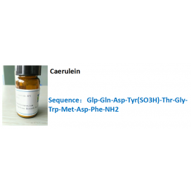 Caerulein