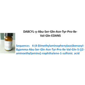 DABCYL-y-Abu-Ser-Gln-Asn-Tyr-Pro-Ile-Val-Gln-EDANS